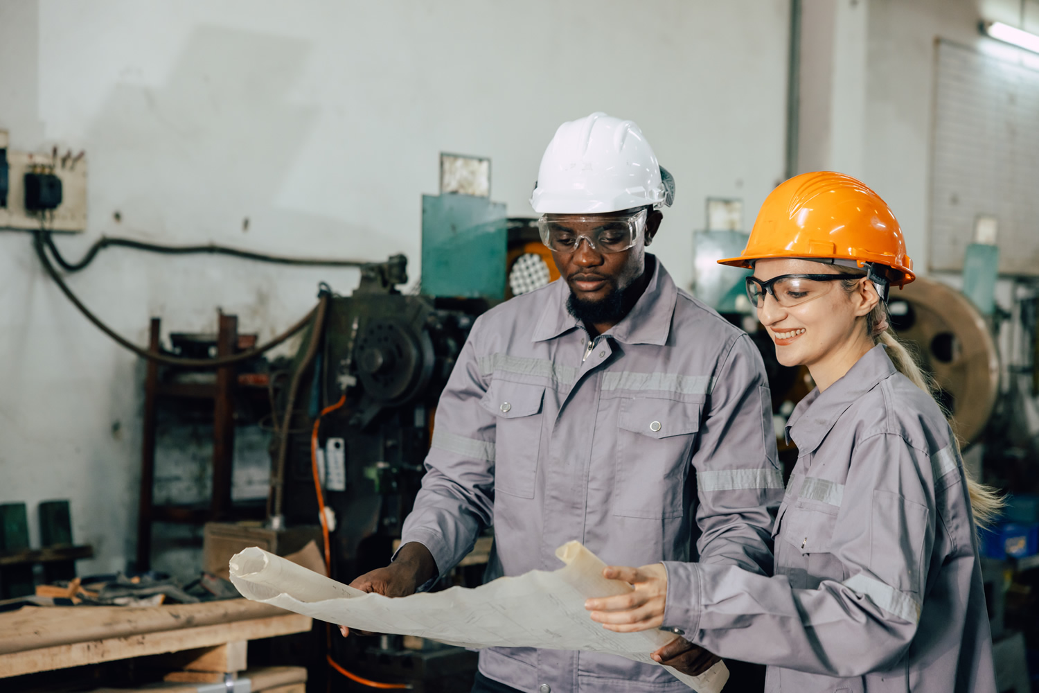 Live Solutions Key Deliverables -2D Model Development